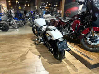 2025 Harley-Davidson Street Bob, серый, 2290000 рублей, вид 2