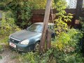 2010 Lada (ВАЗ) Priora I, серый - вид 2