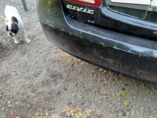2007 Honda Civic VIII, чёрный, 500000 рублей, вид 3
