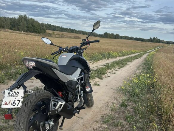 2025 Rokon Ranger, серый, 110000 рублей - вид 3
