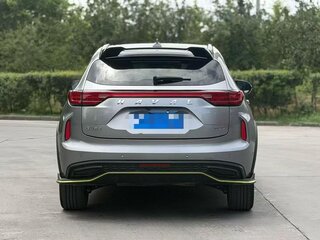 2022 Haval Chitu, серебристый, 1230000 рублей, вид 5