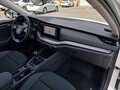 2023 Skoda Octavia IV (A8), белый, 2242000 рублей - вид 4