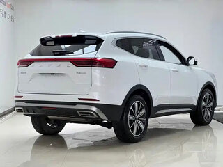 2023 Haval H6 III, белый, 1450000 рублей, вид 5