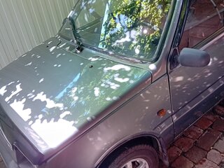 2004 Lada (ВАЗ) 1111 Ока СеАЗ, серый, 169000 рублей, вид 1