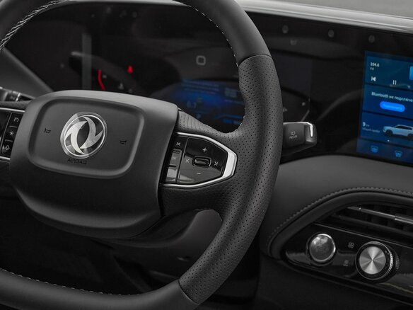 2025 Dongfeng Huge, чёрный, 2819000 рублей - вид 11