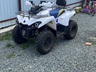 2022 Motoland ATV 200 Shark, белый, 150000 рублей, вид 1