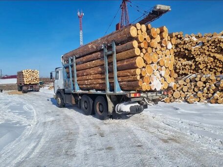 2009 МАЗ 6303, белый, 500000 рублей, вид 2