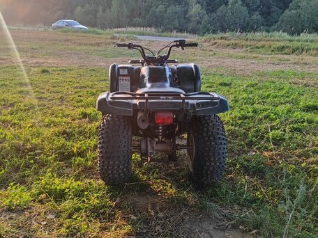 2011 Yamaha Grizzly 125, зелёный, 299000 рублей, вид 4