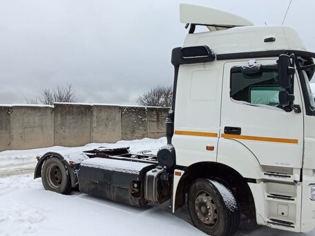 2019 КамАЗ 5490, белый, 1650000 рублей, вид 5
