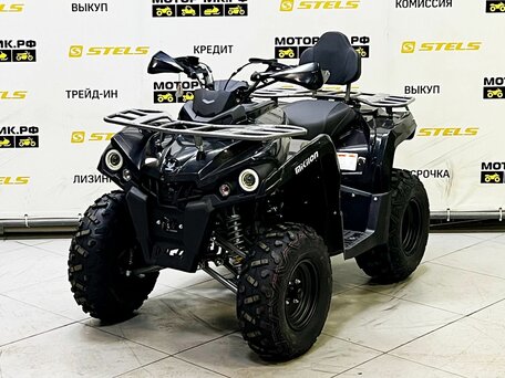 2025 Bison ATV200, чёрный, 219000 рублей, вид 1