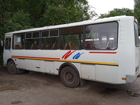 2010 ПАЗ 4234, белый, 450000 рублей, вид 5