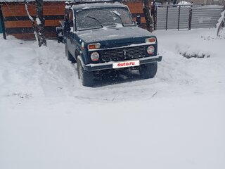 1999 Lada (ВАЗ) 2121 (4x4) I Рестайлинг, зелёный, 290000 рублей, вид 4