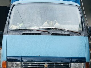 1996 ГАЗ ГАЗель (3302), голубой, 170000 рублей, вид 2