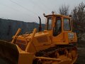 2007 Дормаш B 100, жёлтый, 1530000 рублей - вид 1