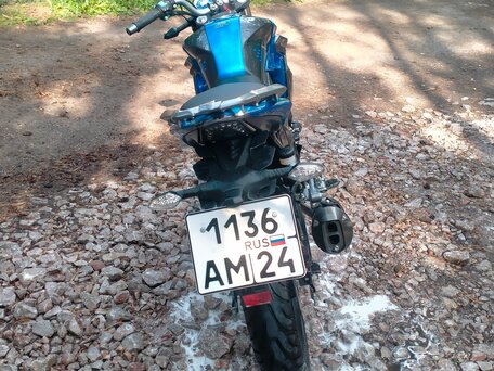 2023 Regulmoto T-Leopard 300, синий, 210000 рублей, вид 3