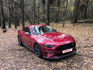 2021 Ford Mustang VI Рестайлинг, красный, 3940000 рублей, вид 1