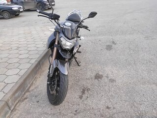 2023 Regulmoto T-Leopard 300, чёрный, 230000 рублей, вид 1