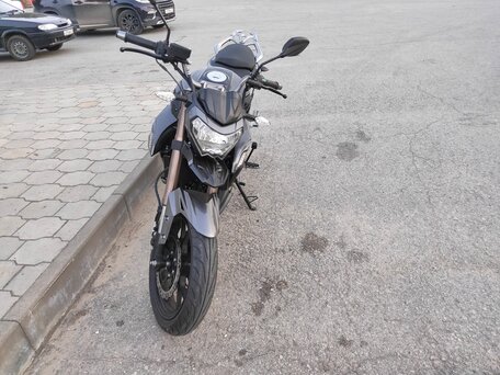 2023 Regulmoto T-Leopard 300, чёрный, 230000 рублей, вид 1