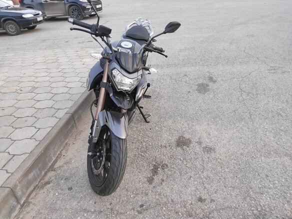 2023 Regulmoto T-Leopard 300, чёрный, 230000 рублей