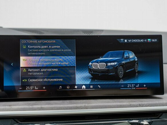2026 BMW X5 Long 30Li IV (G05/G18) Рестайлинг, синий, 9900000 рублей - вид 25