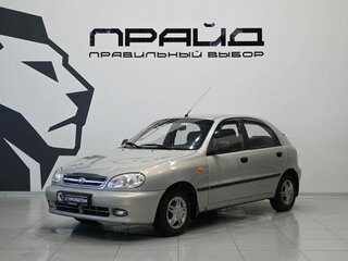 2010 ЗАЗ Chance, бежевый, 179900 рублей, вид 1