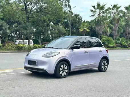 Wuling Binguo