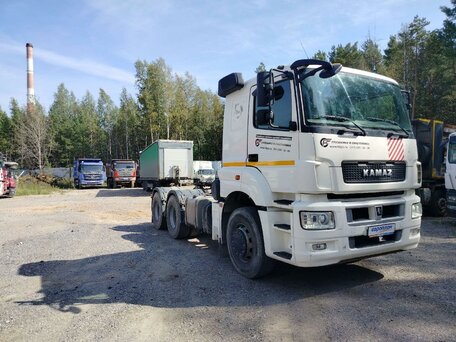 2020 КамАЗ 65206, белый, 3066000 рублей, вид 2