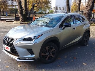 2021 Lexus NX 200 I Рестайлинг, серый, 4555000 рублей, вид 3
