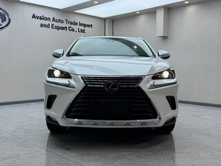 2020 Lexus NX 200 I Рестайлинг, белый, 2490000 рублей, вид 4