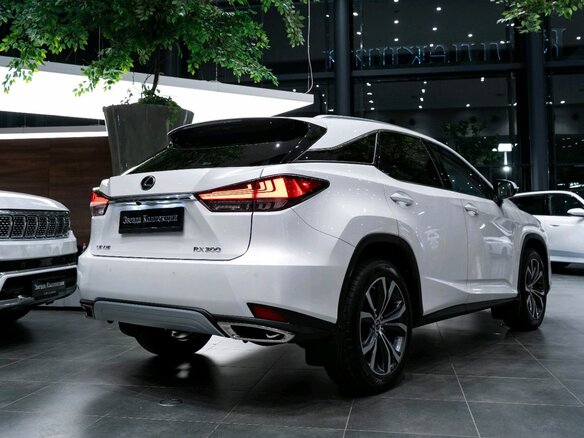 2020 Lexus RX 300 IV Рестайлинг, белый, 5049000 рублей - вид 7