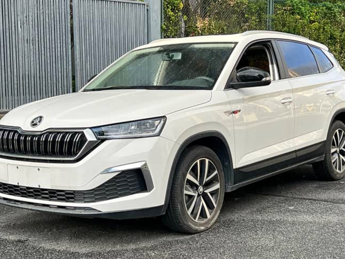 Открыть фотографии: Skoda Kamiq I (China Market)