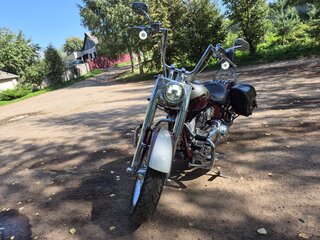 2010 Harley-Davidson CVO, красный, 1500000 рублей, вид 2