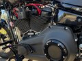 2021 Harley-Davidson Street Bob, серый - вид 4