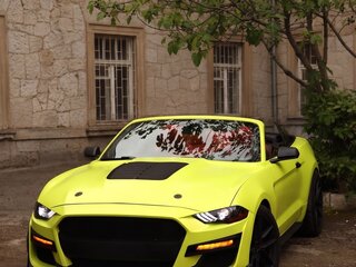 2020 Ford Mustang VI Рестайлинг, серый, 3750000 рублей, вид 2