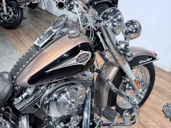2004 Harley-Davidson Heritage, бежевый, 999000 рублей - вид 12