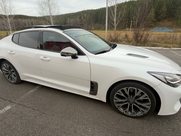 2019 Kia Stinger I, белый, 2570000 рублей - вид 5