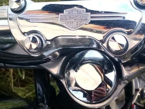 2009 Harley-Davidson Dyna Super Glide, чёрный - вид 14