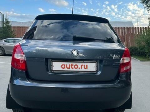 2009 Skoda Fabia II, серый, 680000 рублей - вид 4
