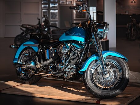 2014 Harley-Davidson Softail Custom, синий, 999999 рублей, вид 2