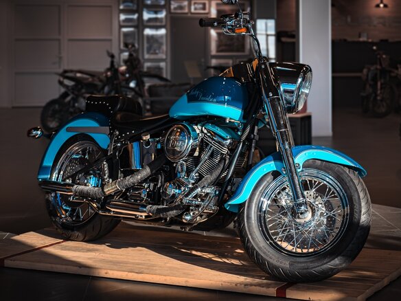 2014 Harley-Davidson Softail Custom, синий, 999999 рублей - вид 1