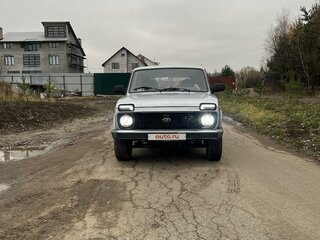 2010 Lada (ВАЗ) 2131 (4x4) 213105 I, серый, 320000 рублей, вид 2
