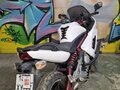 2006 Kawasaki ER-6F (Ninja 650R), белый, 310000 рублей - вид 4
