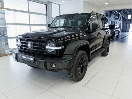 Tank 300 I