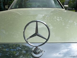 1982 Mercedes-Benz S-Класс 280 II (W126), зелёный, 450000 рублей, вид 1