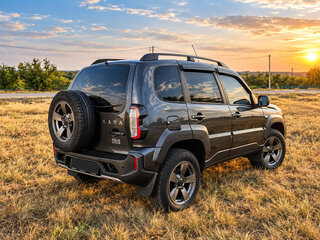 2021 Lada (ВАЗ) Niva Travel I, серый, 920000 рублей, вид 5