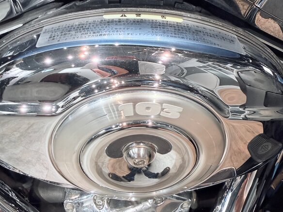 2011 Harley-Davidson Electra Glide, голубой, 1299000 рублей - вид 24
