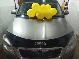 2007 Skoda Fabia II, серый, 224999 рублей, вид 1
