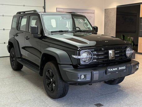 Tank 300 I