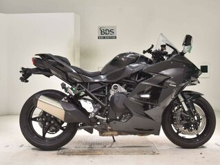 2018 Kawasaki Ninja H2 SX, серый, 1377000 рублей, вид 2