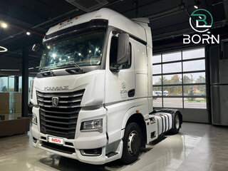 2022 КамАЗ 54901, белый, 3490000 рублей, вид 4